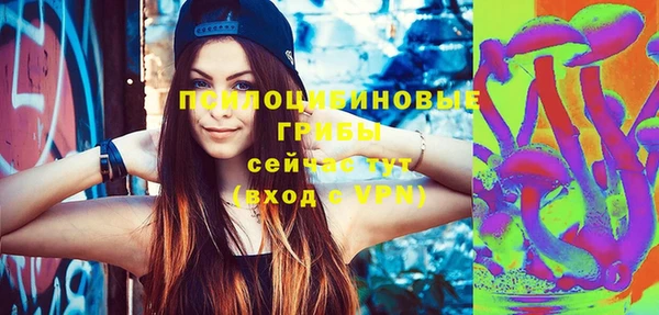 винт Гатчина